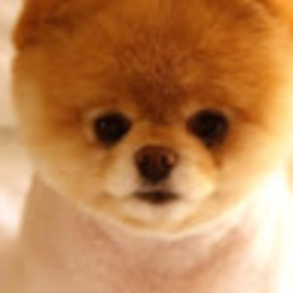 kirasproat